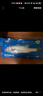 海名威 冷凍三去海鱸魚(yú)880g/2條 (配料包) 海魚(yú) 生鮮魚(yú)類(lèi) 海鮮水產(chǎn) 中秋 曬單實(shí)拍圖