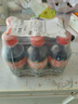 可口可樂(lè )（Coca-Cola）小瓶碳酸飲料沖調批發(fā)聚會(huì )整箱可樂(lè )批發(fā) 可樂(lè )6瓶*300毫升 曬單實(shí)拍圖