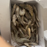 海之幫新鮮青島大蝦超大蝦凍蝦白蝦鮮活冷凍對蝦大號青蝦海鮮批發(fā) 16-18厘米活蝦速凍 3斤(凈重)  曬單實(shí)拍圖