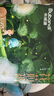 布班迪【源頭直發(fā)】山茶花花芯褲紙尿褲XL26片超薄透氣男女寶通用尿不濕 曬單實拍圖