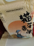 瑤珍 貓牙香米10斤 貓牙米 大米 香米 新米 長(cháng)粒米 瑤山梯田米 真空 曬單實(shí)拍圖