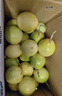 京鮮生 欽蜜9號(hào)黃金百香果 5斤單果90g+ /20-30個(gè) 生鮮水果 源頭直發(fā) 曬單實(shí)拍圖