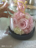 西羅斯（SEEROSE）永生花丘比特熊保鮮玫瑰花束七夕情人節(jié)生日禮物送女生朋友老婆 丘比特熊-粉色 福州倉(cāng)發(fā)貨-支持代寫(xiě)賀卡 曬單實(shí)拍圖