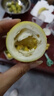 廣西欽蜜9號黃金百香果萬澄當季新鮮大果黃皮果奶茶店水果 【1斤 約11-17個】單果30-45g 曬單實拍圖