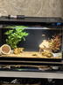 米家（MIJIA）小米米家智能生態(tài)魚缸還原自然生態(tài)補(bǔ)倉一次三月無憂出差旅行必備 曬單實(shí)拍圖