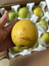 京覓 碭山青皮蜜梨 單果250g起 凈重4.5斤起 生鮮水果 源頭直發(fā) 曬單實(shí)拍圖