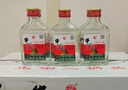 牛欄山白酒二鍋頭 小扁瓶 52度100ml*40瓶 口糧酒 北京風(fēng)味 中秋送禮 52度 100mL 40瓶 小扁瓶 白瓶 曬單實(shí)拍圖