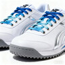 彪馬（PUMA）【厚底鞋】增高小白鞋女子新款灰色板鞋CARINA389390 白-白-金色-01 37 曬單實(shí)拍圖