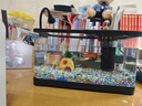 闊庭（KUOTING）魚缸水族箱生態(tài)桌面魚缸新款懶人魚缸生態(tài)造景過濾制氧一體機(jī)黑色 曬單實拍圖