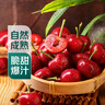 枝頭熟大連美早大櫻桃250g 單果10g＋ 曬單實(shí)拍圖
