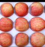 京鮮生 山東煙臺紅富士蘋(píng)果 凈重9斤 果徑80mm+ 新鮮水果 源頭直發(fā) 曬單實(shí)拍圖