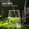  京覓 100%白樺樹(shù)汁NFC原液0卡0脂肪330ml*36瓶植物飲料送禮禮盒 曬單實(shí)拍圖