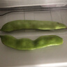 辰實(shí)【發(fā)順豐】東北新鮮油豆角 九月青油豆角 開(kāi)鍋爛蔬菜農家特產(chǎn) 5斤 油豆角(優(yōu)選)推薦 曬單實(shí)拍圖