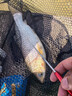 川澤盲捅脫鉤器取魚器釣魚起魚器取鉤器摘魚器多功能脫鉤漁具垂釣配件 臺釣脫鉤器（顏色隨機(jī)） 曬單實拍圖