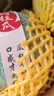 京鮮生 玫瓏網(wǎng)紋甜瓜 2粒裝 凈重6-7斤起 中秋禮品源頭直發(fā)包郵 曬單實(shí)拍圖