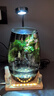 丘辰苔蘚微景觀(guān)養魚(yú)生態(tài)瓶diy辦公室內桌面綠植擺件花卉盆栽生日禮物 翠微香（香薰底座） 曬單實(shí)拍圖