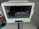 美的（Midea）小滋味2.0微烤炸一體機微波爐電烤箱空氣炸三合一變頻平板專(zhuān)業(yè)烘烤石墨烯烤管七夕節禮物(C15) 曬單實(shí)拍圖