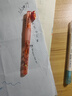點(diǎn)石混元時(shí)空艙限定學(xué)生鋼筆矯姿軟握膠EF不濺墨鋼筆套裝可換墨囊三年級小學(xué)生開(kāi)學(xué)季3778E藍桿-龍淵 曬單實(shí)拍圖