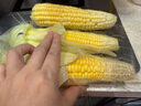 【精品甜玉米】新鮮水果玉米現(xiàn)摘嫩玉米甜水果玉米營養(yǎng)早餐爆汁 3斤凈重 3-4根 300g起/根 曬單實拍圖