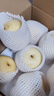遠達（YUANDA）河北皇冠梨趙縣特產(chǎn)新鮮水果冰糖雪梨當(dāng)季水果梨子整箱白梨脆甜 皇冠梨凈重9斤 彩箱裝 曬單實拍圖