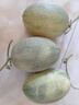 京鮮生 哈密瓜西州蜜25號 凈重7-8斤2-4粒裝 源頭直發(fā)包郵 曬單實拍圖