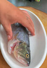 仙泉湖三去白蕉海鱸魚1斤/條凈膛冷凍刺少肉厚珠海特產(chǎn)500g生鮮食材 曬單實拍圖