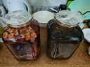 紅星二鍋頭 甑流 清香型白酒 65度 2L 大壇裝 浸泡酒口糧酒 曬單實拍圖