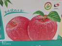 洛川蘋(píng)果陜西延安特產(chǎn)紅富士時(shí)令蘋(píng)果水果禮盒送蘋(píng)果生鮮新鮮脆甜整箱批發(fā) 24個(gè)80mm 優(yōu)選果 彩箱裝 曬單實(shí)拍圖