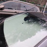 企森汽車(chē)遮陽(yáng)傘前擋風(fēng)玻璃遮陽(yáng)擋板2025新款車(chē)內(nèi)防曬隔熱遮光簾特斯拉 專(zhuān)車(chē)定制【下單備注車(chē)型+年份】 曬單實(shí)拍圖