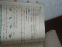 2025秋新版 五星學(xué)霸二年級上冊語(yǔ)文人教部編全國通用版 經(jīng)綸5星學(xué)霸2上課本同步作業(yè)本天天練習冊 曬單實(shí)拍圖