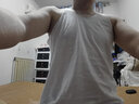 三槍【3條裝】背心男士純棉舒膚精漂汗布男背心 老頭跨欄夏季白棉背心 白色 175/105（125-135斤） 曬單實(shí)拍圖