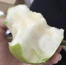 式果禮河北皇冠梨 當(dāng)季冰糖青皮翠冠梨翠玉皇冠梨香梨雪梨新鮮水果整箱 3斤 精選大果【單果250g+】 曬單實(shí)拍圖