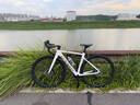 坎普（CAMP）SR3 碟剎版自行車碳纖維前叉輕量鋁合金運動順泰一體式油碟公路車 白銀色 22速 490碼 700C 曬單實拍圖