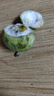 探味君 廣西欽蜜9號(hào)黃金百香果 新鮮水果白香果醬原漿整箱 生鮮 30個(gè)裝【單果30-50g】 曬單實(shí)拍圖