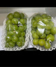 【產(chǎn)地直采】陽(yáng)光玫瑰青提 1.5kg 單果8g起 曬單實(shí)拍圖