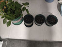 鈴蘭花苗帶芽帶根盆栽種球進(jìn)口耐寒室內外花卉綠植四季播種開(kāi)花 優(yōu)質(zhì)鈴蘭16棵+肥料【開(kāi)花爆盆】 曬單實(shí)拍圖