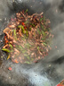一蝦一世界新鮮冷凍大號(hào)三去魷魚(yú)系列 生鮮火鍋燒烤食材海鮮水產(chǎn) 魷魚(yú)須 4斤(凈重)  【固形物70%】 曬單實(shí)拍圖