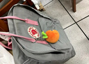 FJALLRAVEN北極狐雙肩包女大容量背包書(shū)包23510-021-312霧灰/粉16L 曬單實(shí)拍圖