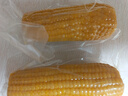 京鮮生東北黃糯玉米棒200g×8根 甜黏玉米 多種包裝隨機(jī)發(fā)貨 源頭直發(fā) 曬單實(shí)拍圖