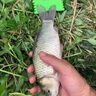 海潤 漁具海桿全套遠(yuǎn)投竿超硬海竿漁具魚竿套裝一套大物釣魚竿裝備品牌拋竿 2.4m +2.4米+5000輪+包 曬單實拍圖