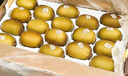 佳沛（zespri）新西蘭  陽光金果18粒原箱單果重173-204g 獼猴桃 中秋水果禮盒 曬單實(shí)拍圖