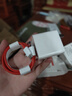 詳致適用一加ACE2充電器100W閃充一加11手機(jī)充電頭oneplus一加12充電插頭1+ACE3快充頭10A套裝WARP閃充 【100W】閃充頭+1.5米閃充線 曬單實(shí)拍圖