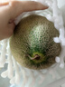京鮮生 新疆哈密瓜 單果2.3斤起 凈重8-9斤 2-4粒裝 源頭直發(fā)包郵 曬單實(shí)拍圖