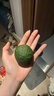 老樹(shù)牛油果 云南奶酪新鮮牛油果 奶油牛油果奶茶嬰兒孕婦當季水果 1粒裝 單果重：70-130g以下 曬單實(shí)拍圖