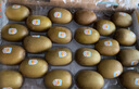 佳沛（zespri）新西蘭  陽光金奇異果16粒禮盒經(jīng)典果單果約 77-103g 水果 獼猴桃 曬單實拍圖