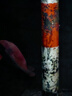 即食檸檬蝦生嗆蝦桶裝潮汕生腌海蝦活蝦制作網(wǎng)紅零食大蝦撈汁 【家庭款】檸檬生嗆蝦950g 曬單實(shí)拍圖