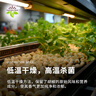 飲食派INSPIRATION SPICE白胡椒粉 260g罐裝 燒烤煲湯胡辣湯煎牛排香辛調味料山姆定制款 曬單實(shí)拍圖