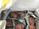 朵芙 三文魚排 500g* 2包 三文魚扒挪威三文魚 輪切魚排海鮮水產(chǎn) 生鮮 中段非腹腔凈2斤 （ 500g *2包） 曬單實拍圖