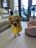 MIKI PAD狗狗雨衣中大型犬柯基邊牧金毛寵物雨衣斗篷防水雨披狗狗沖鋒衣 檸檬黃 #快穿設計 3XL（背長(cháng)37-44 參考體重20-36斤） 曬單實(shí)拍圖
