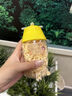 嬰享（Genieten）無(wú)小麥麩質(zhì)蛋奶兒童營(yíng)養馬鈴薯飛機餅干嬰兒寶寶輔食譜南瓜味80g  曬單實(shí)拍圖